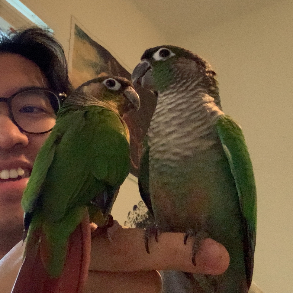 Company photo three